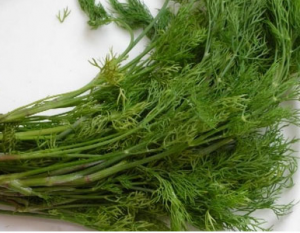 Các loại gia vị giúp bảo vệ sức khỏe gia đình, cac loai gia vi giup bao ve suc khoe gia dinh